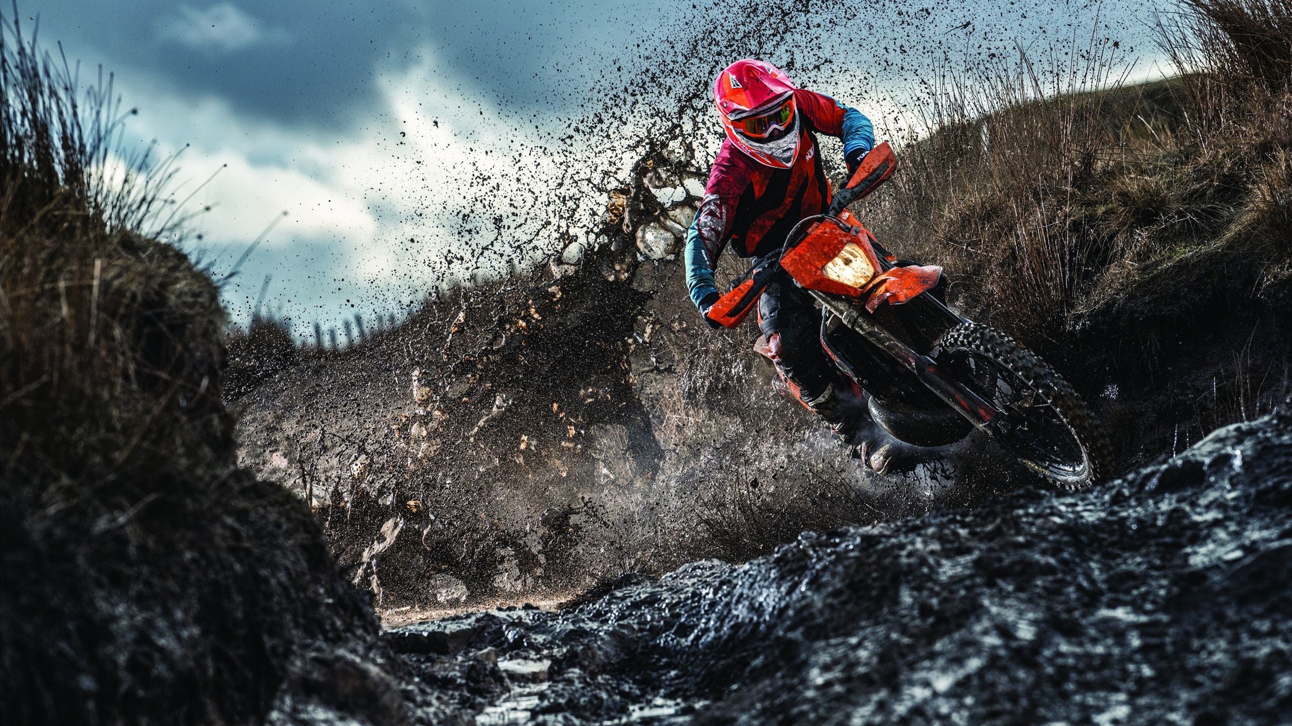 Scout爆冷击败澳大利亚队,败北引爆全场!